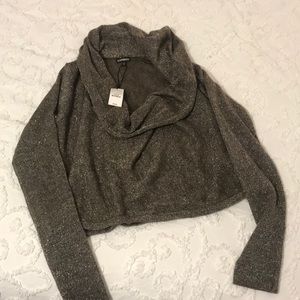 Express crop sweater